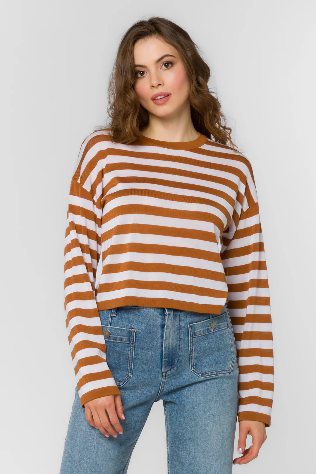 Rumi Cinnamon Stripe Cropped Long Sleeve Tee