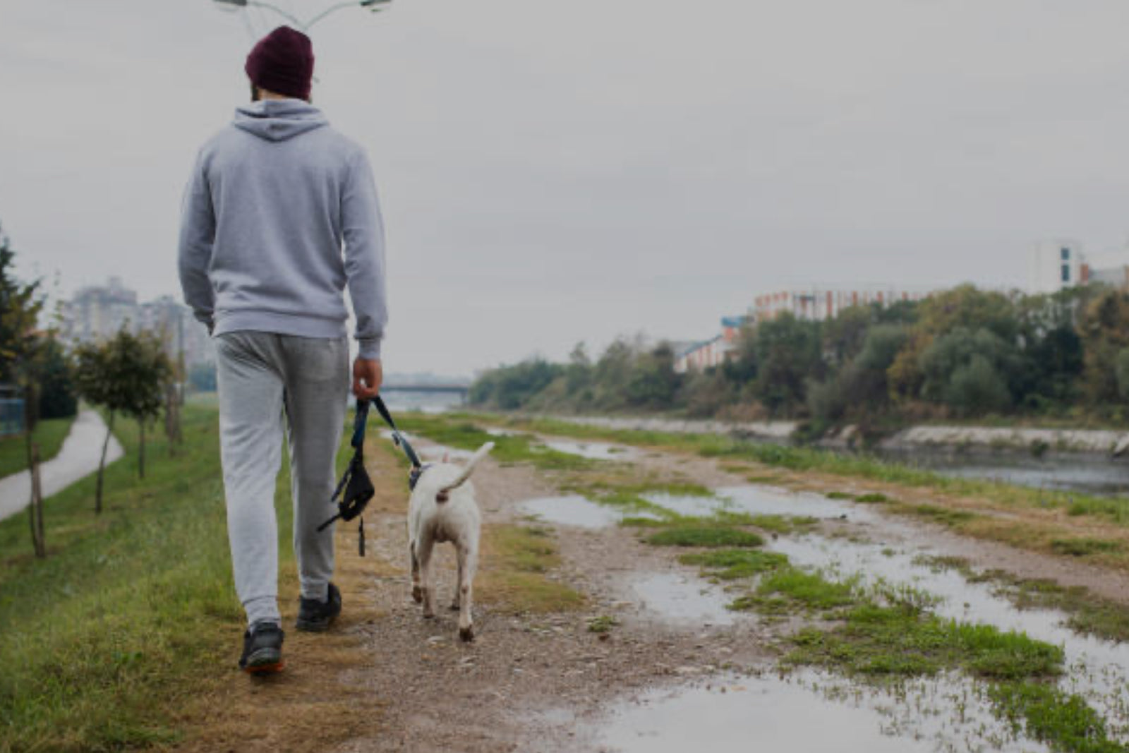 Men's Joggers