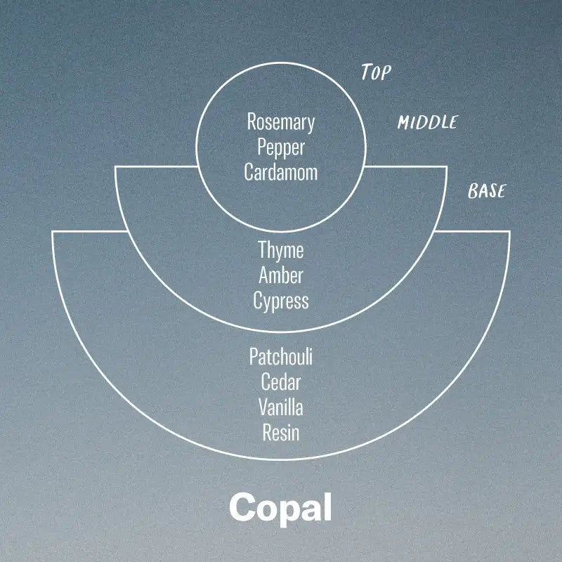 *Limited* Copal
