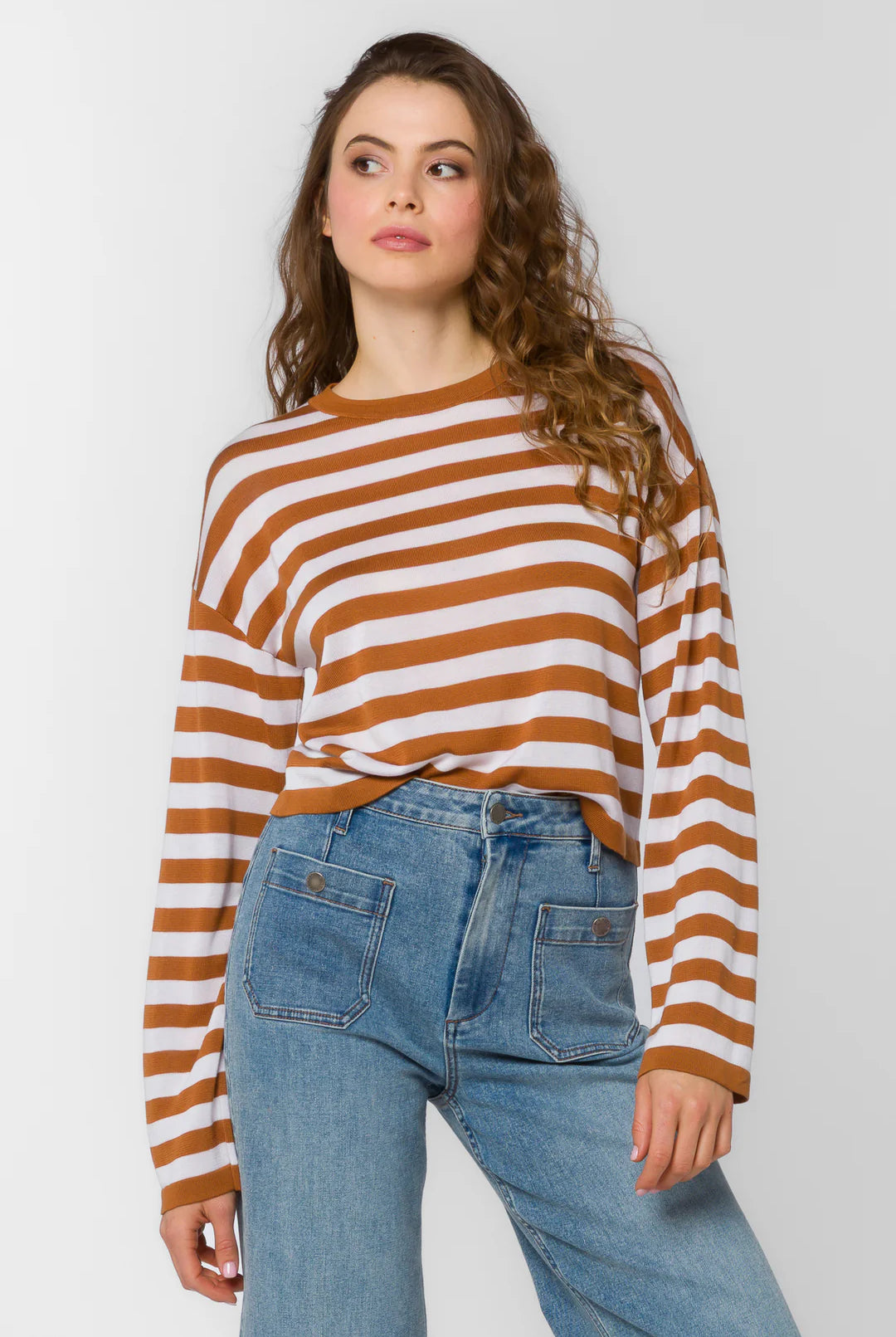 Rumi Cinnamon Stripe Cropped Long Sleeve Tee